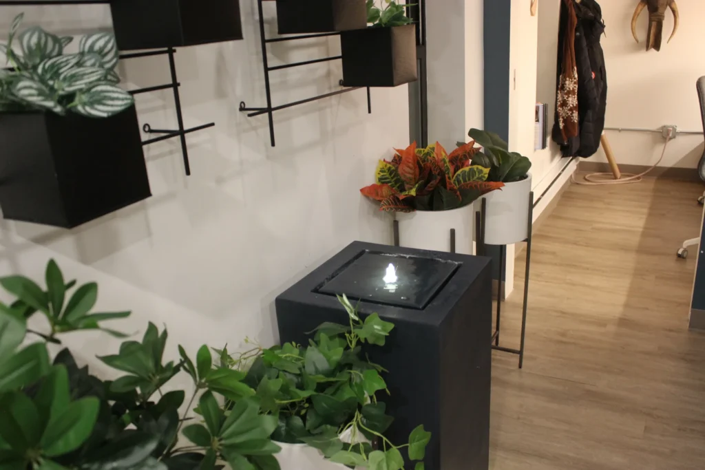 The waiting area at the practice, with plants and a small water fountain